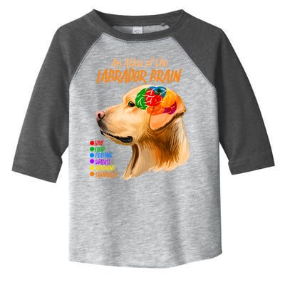 Atlas of The Labrador Retriever Brain Toddler Fine Jersey T-Shirt