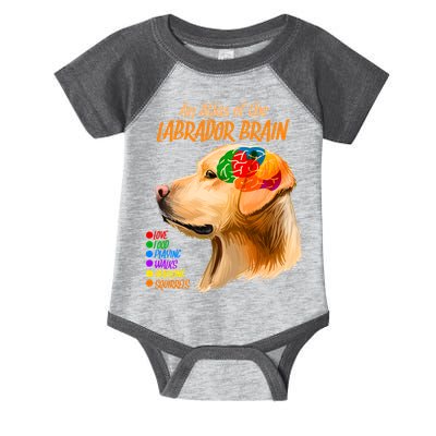 Atlas of The Labrador Retriever Brain Infant Baby Jersey Bodysuit