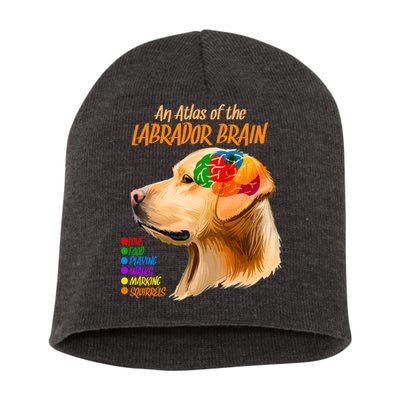 Atlas of The Labrador Retriever Brain Short Acrylic Beanie