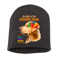 Atlas of The Labrador Retriever Brain Short Acrylic Beanie
