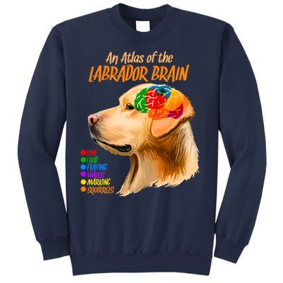 Atlas of The Labrador Retriever Brain Sweatshirt