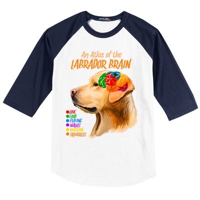 Atlas of The Labrador Retriever Brain Baseball Sleeve Shirt