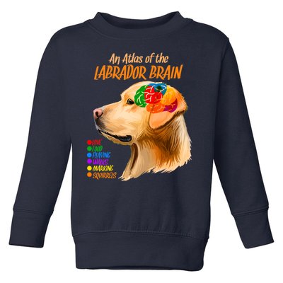 Atlas of The Labrador Retriever Brain Toddler Sweatshirt