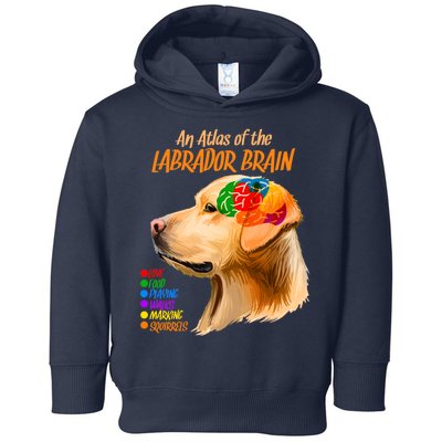 Atlas of The Labrador Retriever Brain Toddler Hoodie