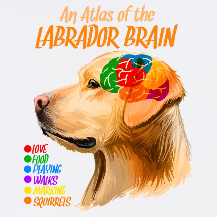 Atlas of The Labrador Retriever Brain Garment-Dyed Sweatshirt