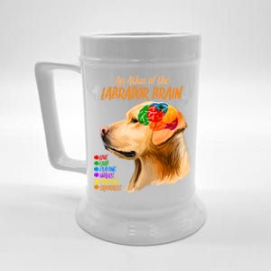 Atlas of The Labrador Retriever Brain Beer Stein