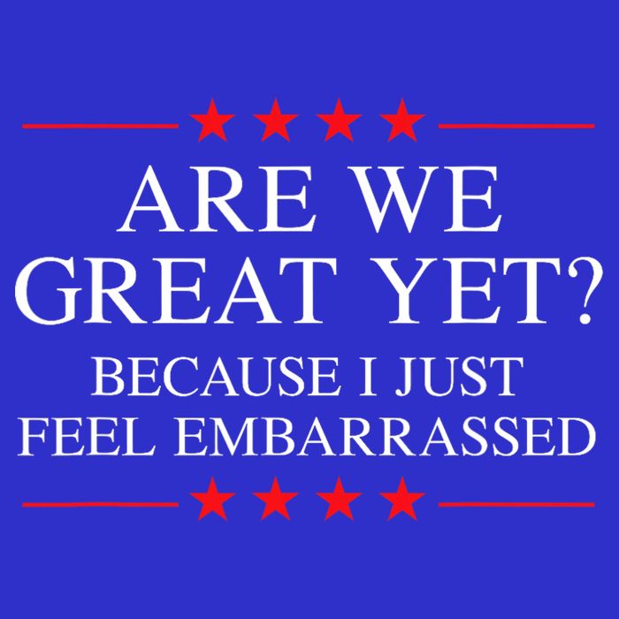 Anti Trump Merchandise For Liberals  16 in Basic Backpack