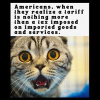 A Tariff Meme With A Funny Image Of A Surprised Cat Drawstring Bag