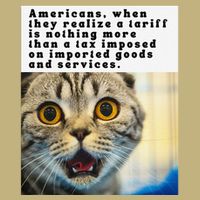 A Tariff Meme With A Funny Image Of A Surprised Cat Mousepad