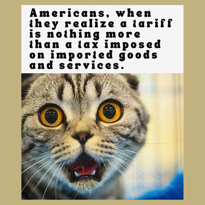 A Tariff Meme With A Funny Image Of A Surprised Cat Mousepad