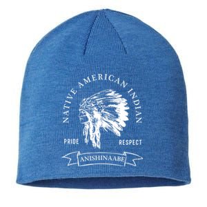 Anishinaabe Tribe Native American Indian Pride Respect Vinta Gift Sustainable Beanie