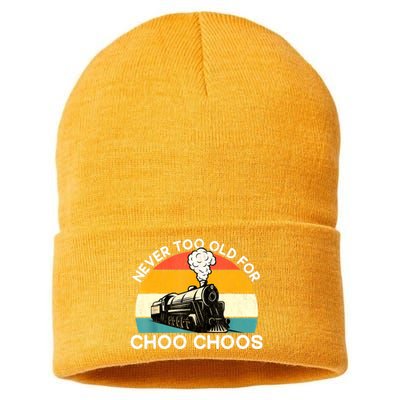 Adult Train Never Too Old For Choo Choos Retro Locomotive Sustainable Knit Beanie