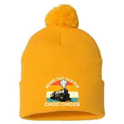 Adult Train Never Too Old For Choo Choos Retro Locomotive Pom Pom 12in Knit Beanie