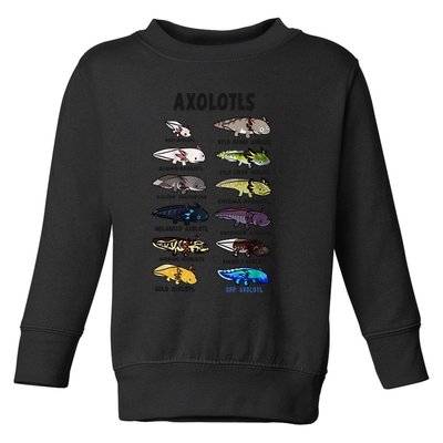 Axolotl Types Names List Toddler Sweatshirt