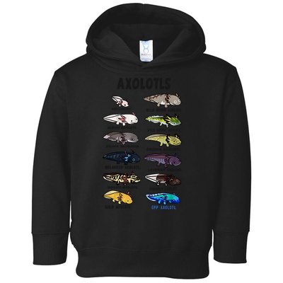 Axolotl Types Names List Toddler Hoodie