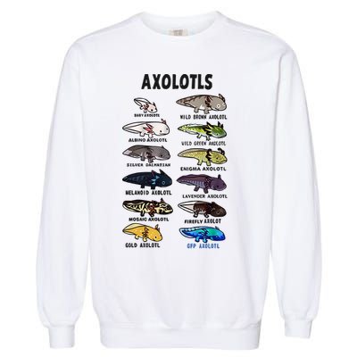 Axolotl Types Names List Garment-Dyed Sweatshirt