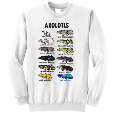 Axolotl Types Names List Sweatshirt