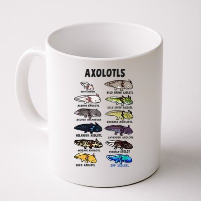 Axolotl Types Names List Mug