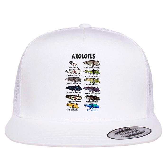 Axolotl Types Names List Flatbill Hat