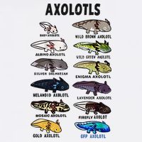 Axolotl Types Names List Flatbill Hat