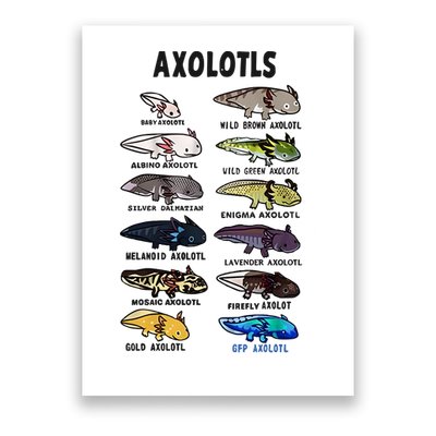 Axolotl Types Names List Poster