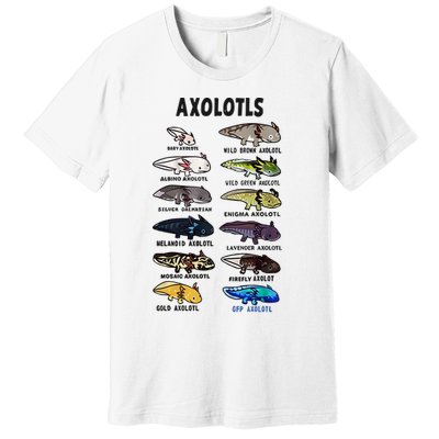 Axolotl Types Names List Premium T-Shirt