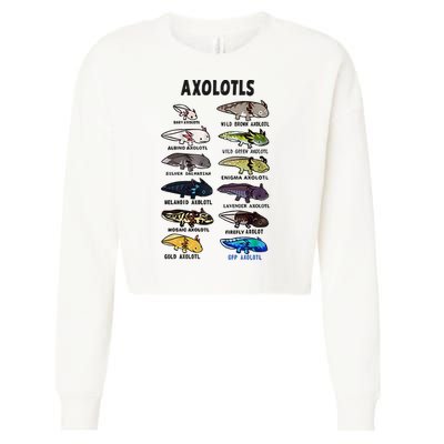 Axolotl Types Names List Cropped Pullover Crew