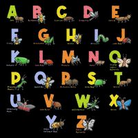 Alphabet Types Of Insects Bug Lover Future Entomologist Cooling Performance Crew T-Shirt