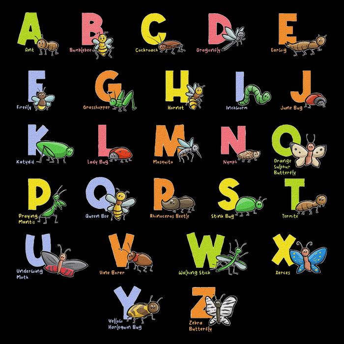 Alphabet Types Of Insects Bug Lover Future Entomologist Cooling Performance Crew T-Shirt
