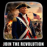 Awesome Trump Patriotic Revolution 2024 President Kids T-Shirt