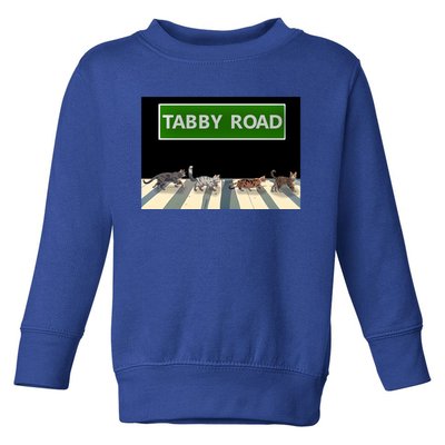 Anime Tabby Road Funny Cat Gift Toddler Sweatshirt