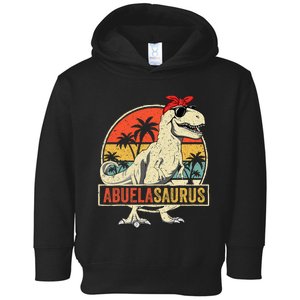 Abuelasaurus T Rex Dinosaur Abuela Saurus Family Matching Toddler Hoodie