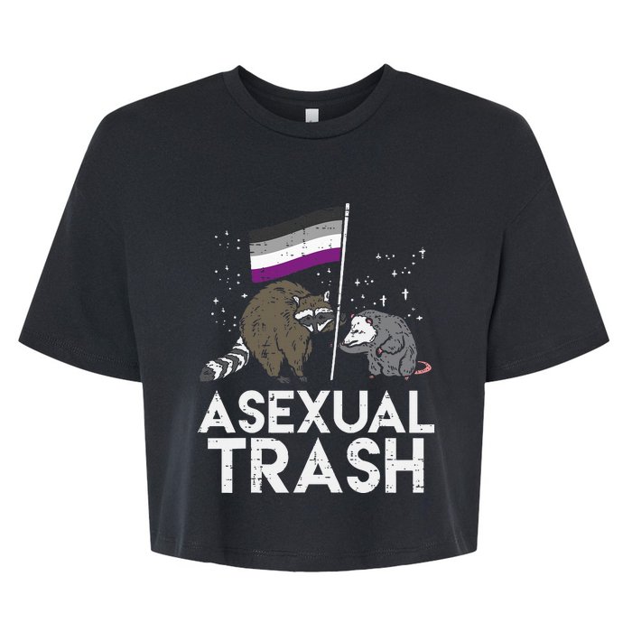 Asexual Trash Raccoon Opossum Asexual Flag Ace Pride Lgbtq Bella+Canvas Jersey Crop Tee