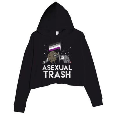 Asexual Trash Raccoon Opossum Asexual Flag Ace Pride Lgbtq Crop Fleece Hoodie