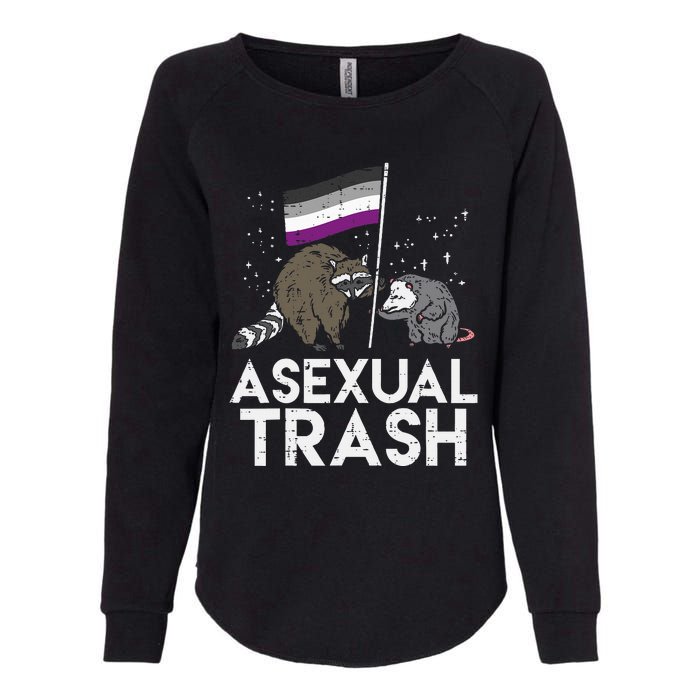 Asexual Trash Raccoon Opossum Asexual Flag Ace Pride Lgbtq Womens California Wash Sweatshirt