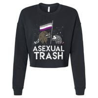 Asexual Trash Raccoon Opossum Asexual Flag Ace Pride Lgbtq Cropped Pullover Crew