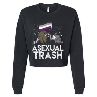 Asexual Trash Raccoon Opossum Asexual Flag Ace Pride Lgbtq Cropped Pullover Crew