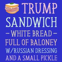Anti Trump Sandwich Sign Funny Womens T-Shirt
