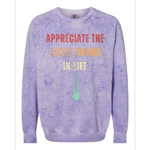 Appreciate The Small Things In Life Funny Arrow Sarcasm Pun Colorblast Crewneck Sweatshirt