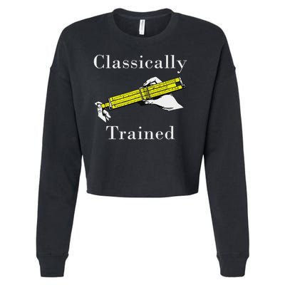 Ally Trained Slide Rule Retro Math Engineer Cropped Pullover Crew