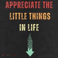 Appreciate The Small Things In Life Funny Arrow Sarcasm Pun Adult Drive Performance Visor