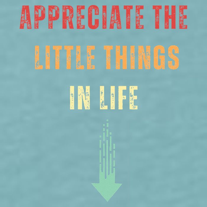 Appreciate The Small Things In Life Funny Arrow Sarcasm Pun Sueded Cloud Jersey T-Shirt