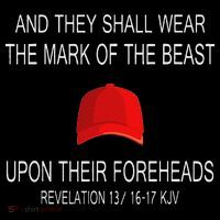 And They Shall Wear The Mark Of The Beast Revelation Sustainable Beanie