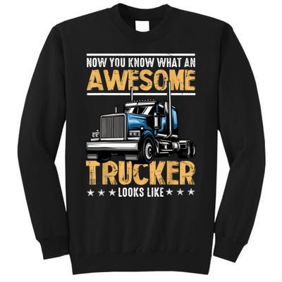 Awesome Trucker Semi Truck Driver 18 Wheeler Mechanic Funny Tall Sweatshirt