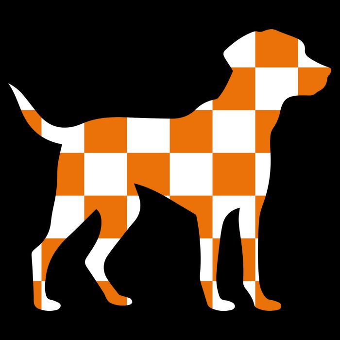Awesome Tennessee Smokey Hound Dog Flatbill Hat