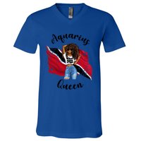 Afro Trinidad Tobago Aquarius Queen African Patriotic Flag Gift V-Neck T-Shirt