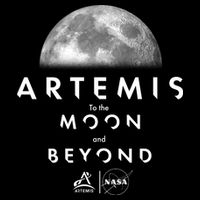 Artemis To The Moon And Beyond 16 in Basic Backpack