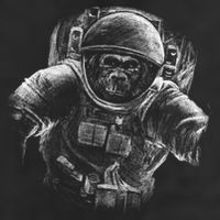 Ape To The Moon Cool Comfort Performance Bucket Hat