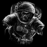 Ape To The Moon 16 in Basic Backpack