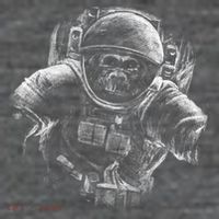 Ape To The Moon Poster